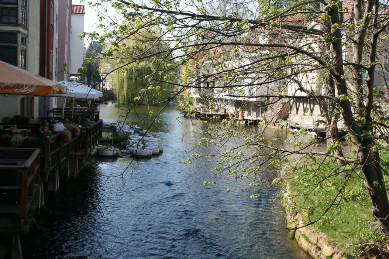 Am Puls Der Altstadt 에르푸르트 외부 사진